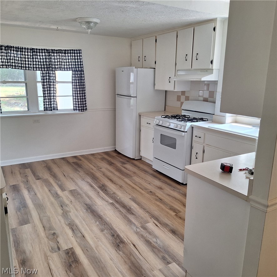 187 Gillett Street Painesville OH 44077
