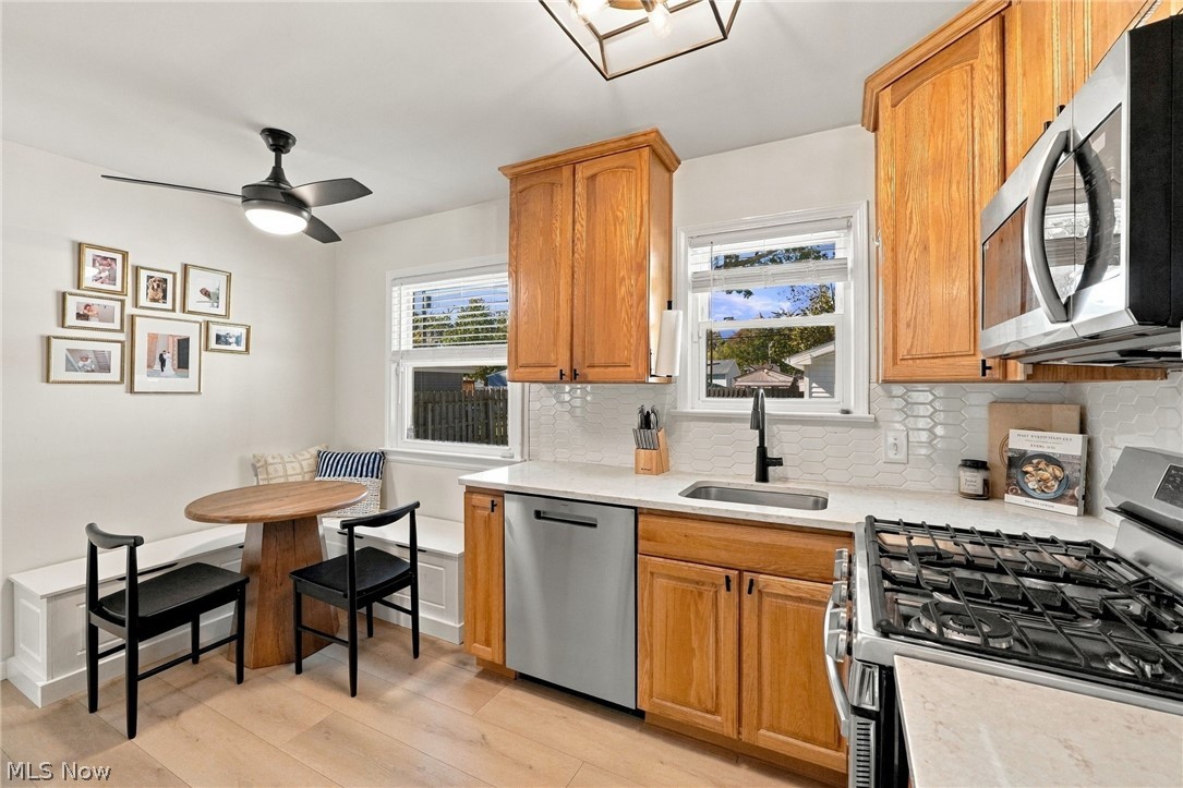 5184 Nan Linn Drive Willoughby OH 44094