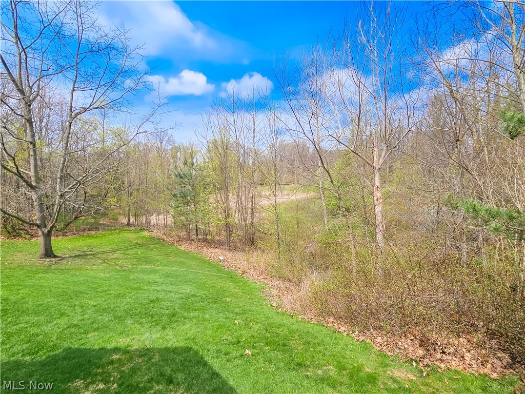 8633 Redtail Court Macedonia OH 44056