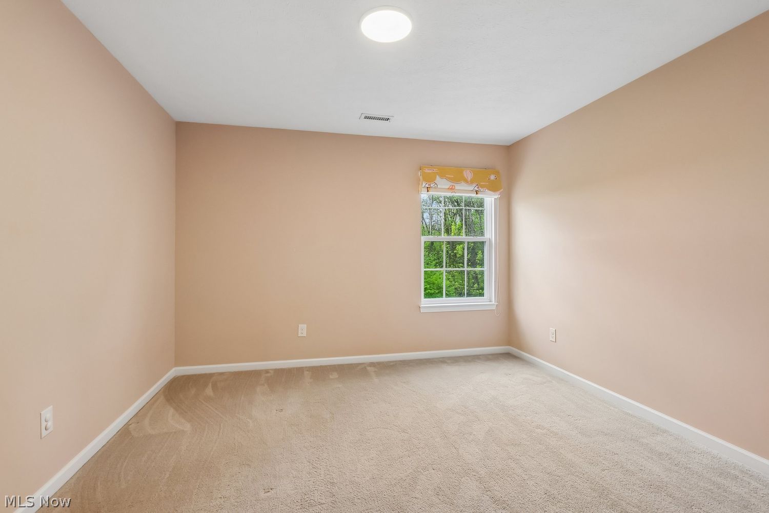 3784 Firethorn Drive Aurora OH 44202