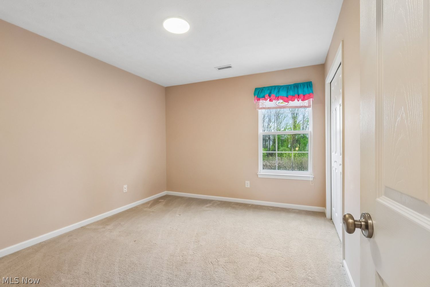 3784 Firethorn Drive Aurora OH 44202