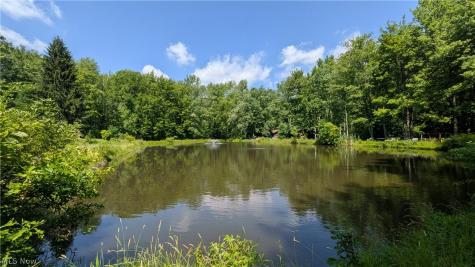 4370 Murphy Road Thompson OH 44086