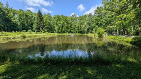 4370 Murphy Road Thompson OH 44086