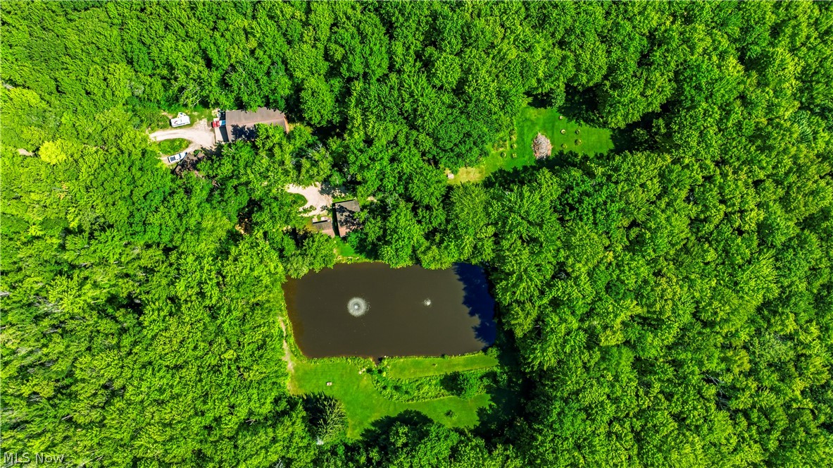 4370 Murphy Road Thompson OH 44086