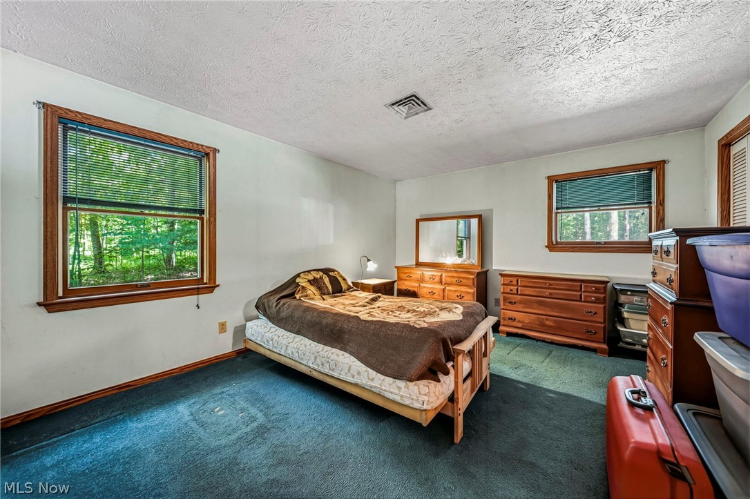 4370 Murphy Road Thompson OH 44086