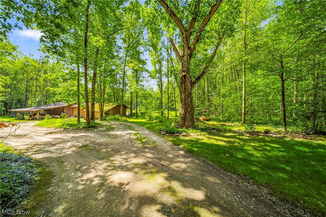 4370 Murphy Road Thompson OH 44086