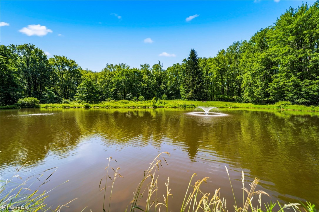 4370 Murphy Road Thompson OH 44086