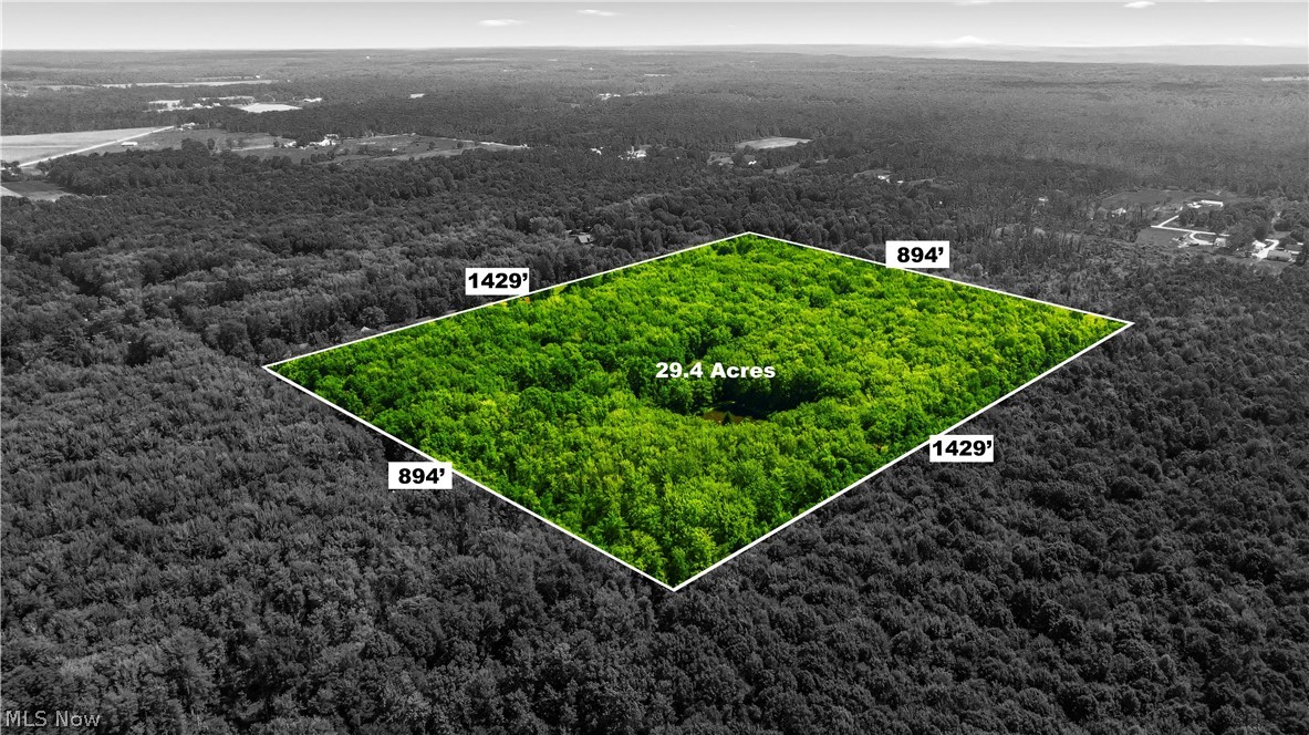 4370 Murphy Road Thompson OH 44086