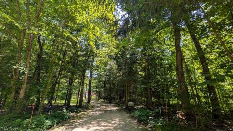 4370 Murphy Road Thompson OH 44086