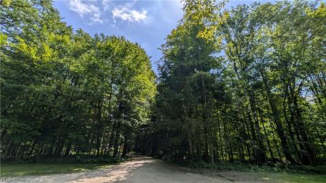 4370 Murphy Road Thompson OH 44086