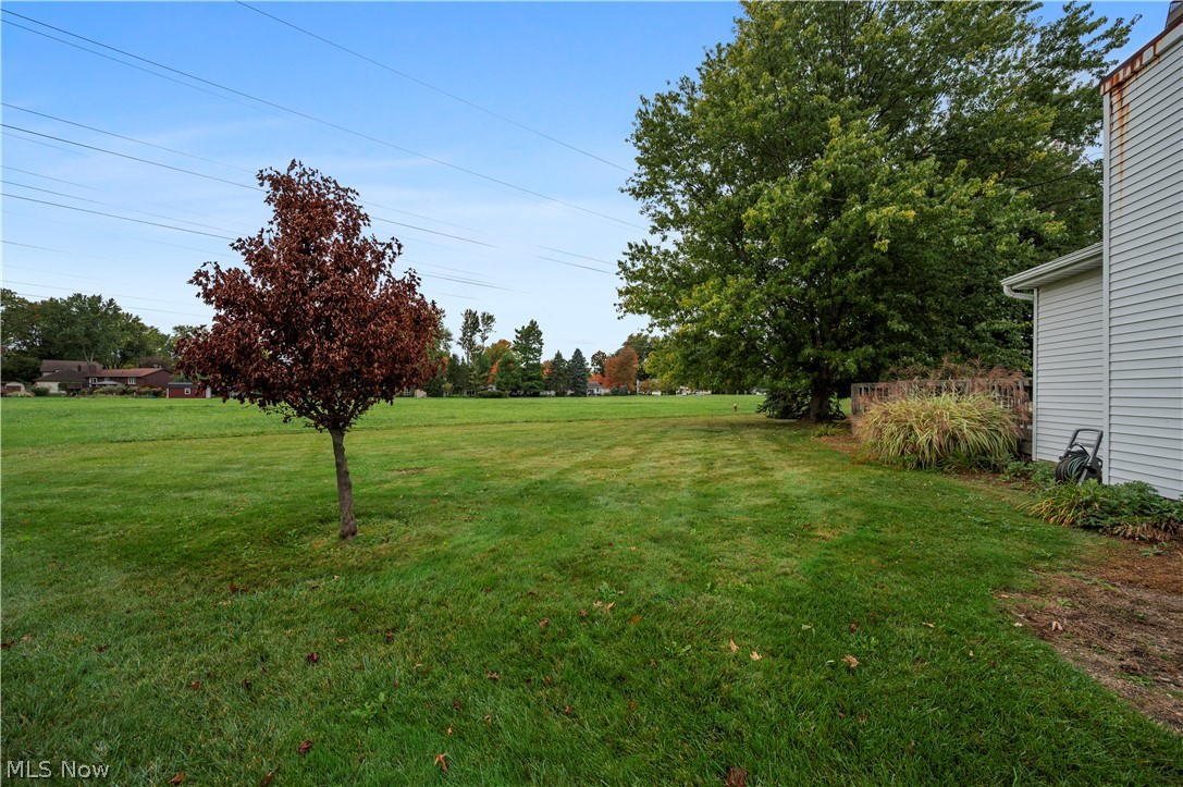 39310 King Edward Court Willoughby OH 44094