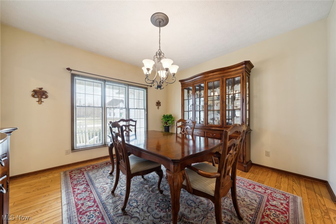 2138 Lake Pointe Drive Avon OH 44011