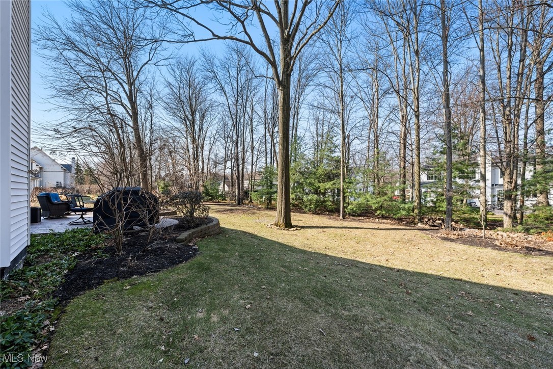 2138 Lake Pointe Drive Avon OH 44011