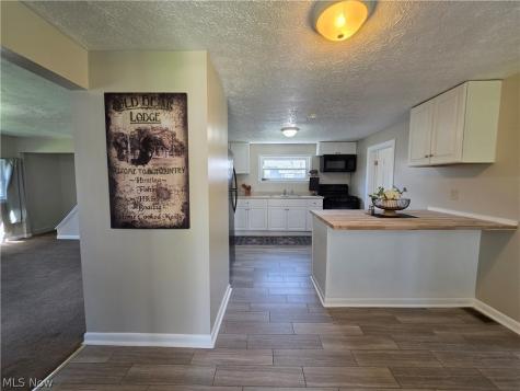 391 Louise Avenue Kent OH 44240