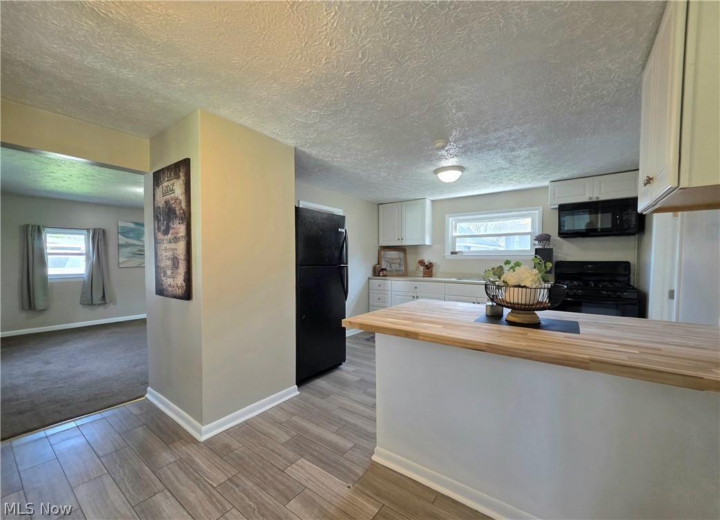 391 Louise Avenue Kent OH 44240