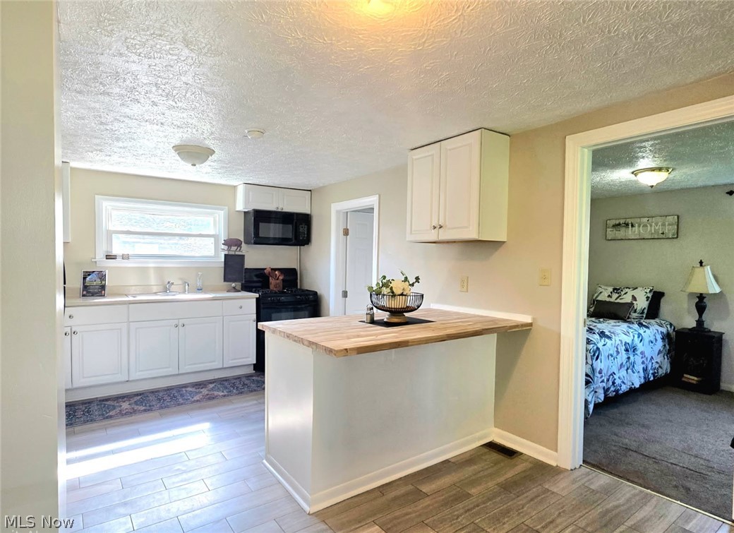 391 Louise Avenue Kent OH 44240