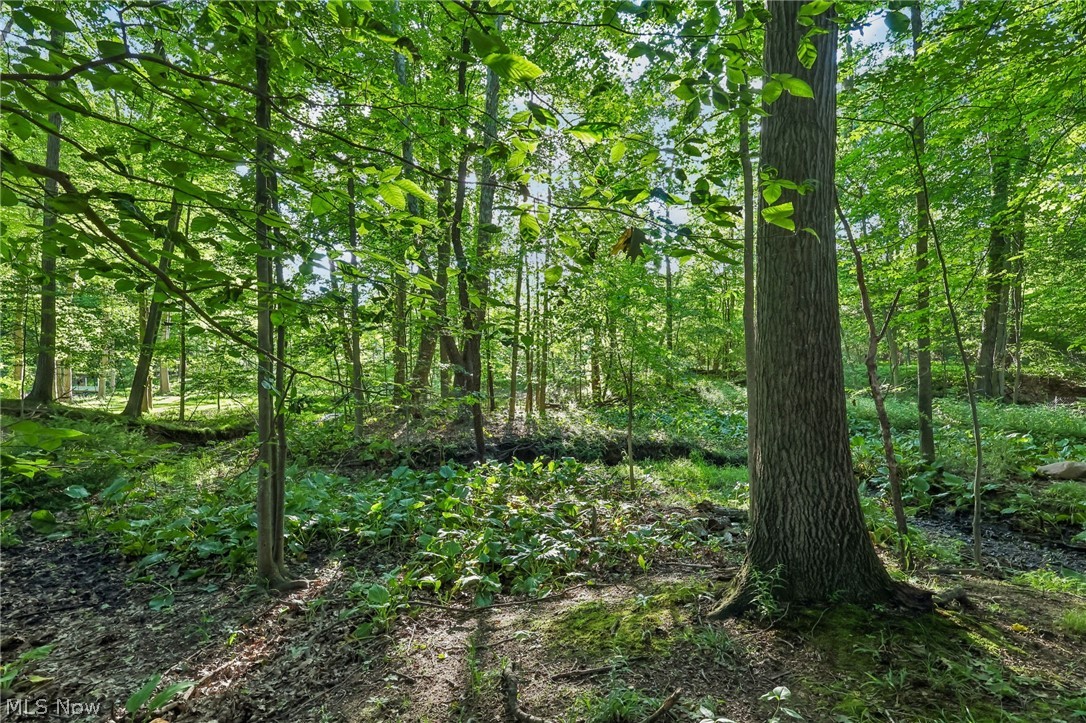 7140 Indian Trail Poland OH 44514