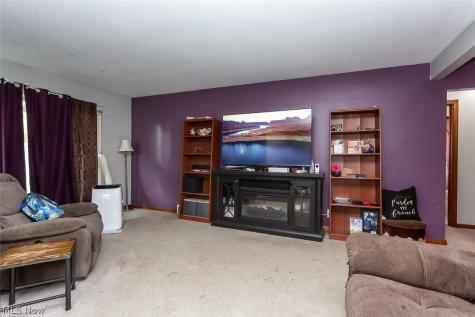 10252 Greenheath Drive Parma Heights OH 44130