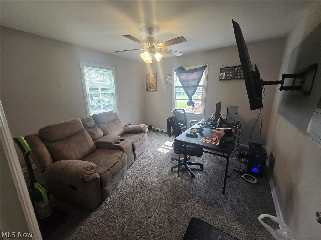 3933 Sylvia Lane Youngstown OH 44511