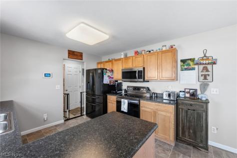 481 Walker Lane Painesville OH 44077