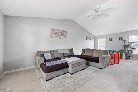 481 Walker Lane Painesville OH 44077