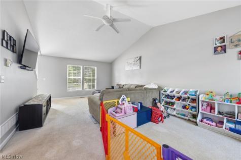 481 Walker Lane Painesville OH 44077