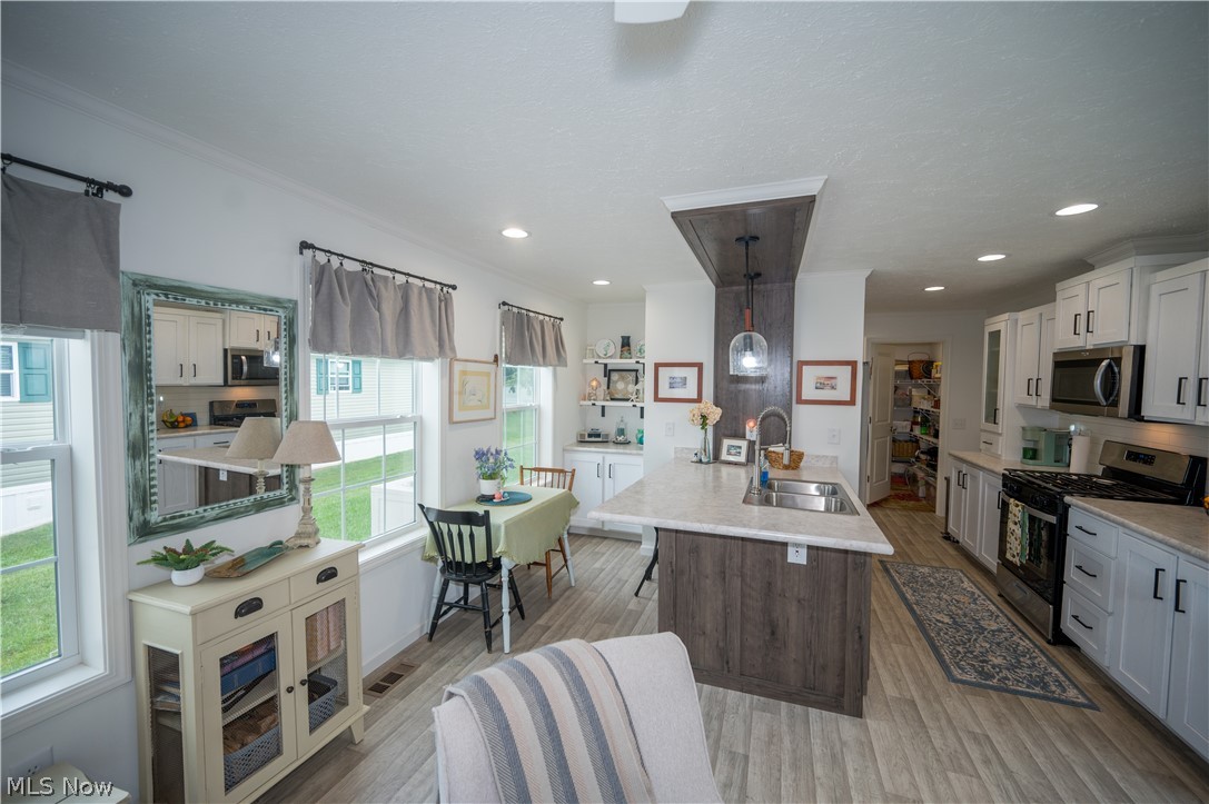 1572 Bogie Lane Painesville OH 44077