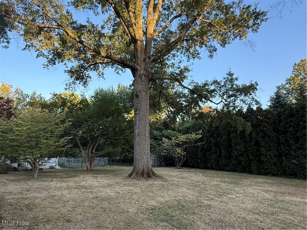 2520 Holgate Road Akron OH 44313