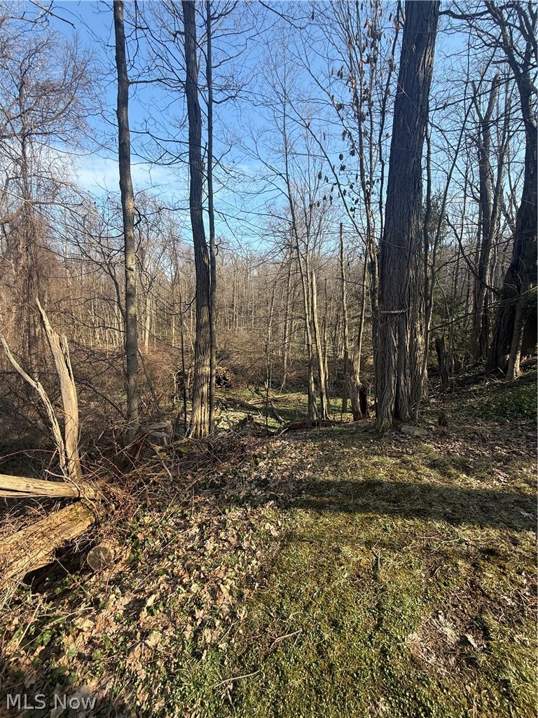 10076 Sherman Road Chesterland OH 44026