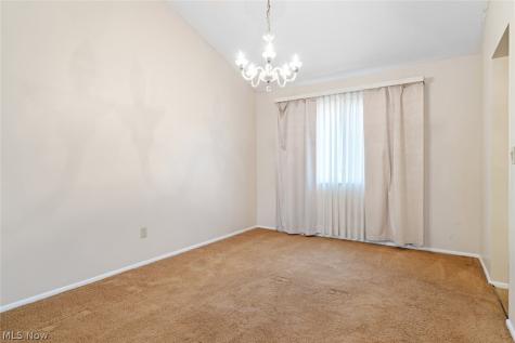 29696 Josephine Drive North Olmsted OH 44070