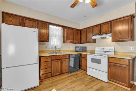 7074 Brandywine Drive Mentor OH 44060