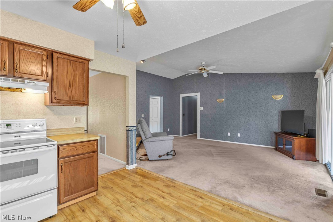 7074 Brandywine Drive Mentor OH 44060