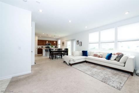 23633 Rebecca Lane Columbia Station OH 44028