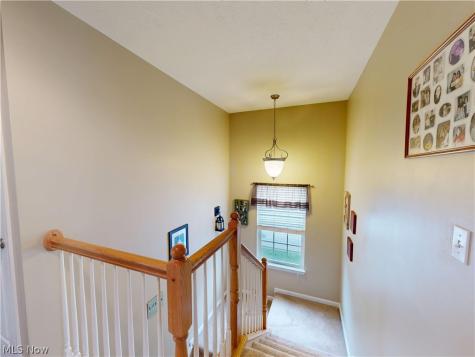 231 S Settlers Lane Painesville OH 44077