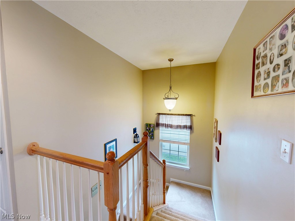 231 S Settlers Lane Painesville OH 44077