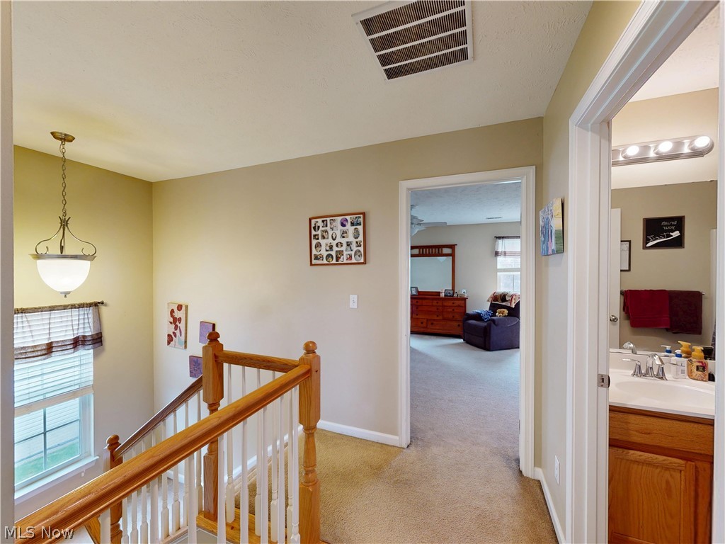 231 S Settlers Lane Painesville OH 44077