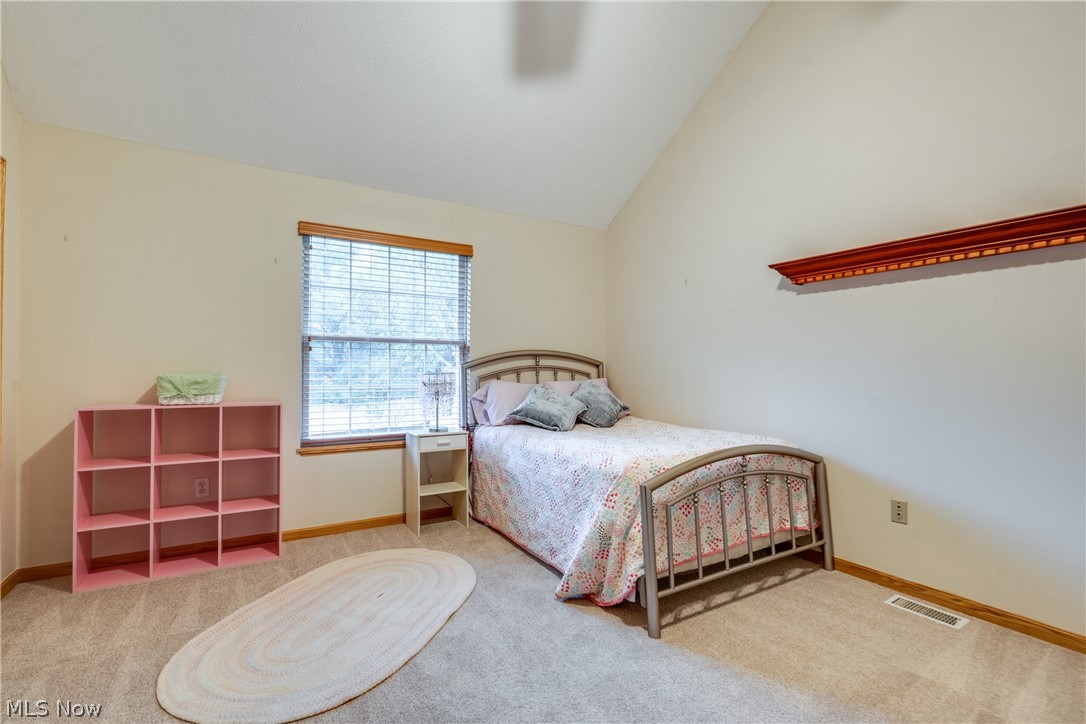 6124 Champagne Shores Medina OH 44256