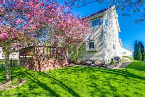 6124 Champagne Shores Medina OH 44256
