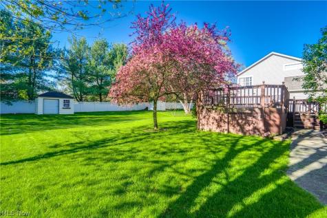 6124 Champagne Shores Medina OH 44256