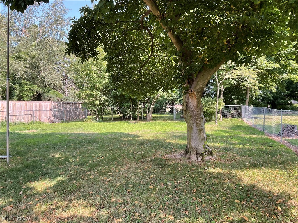 8359 Nowlen Street Mentor OH 44060