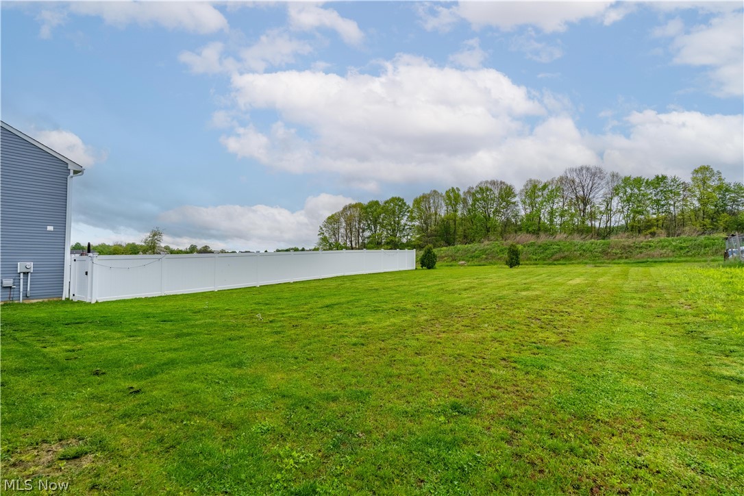 1427 Wood Fern Drive Akron OH 44312