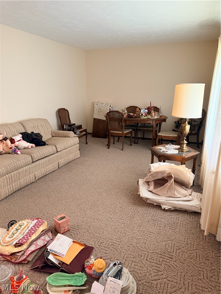 17811 State Route 58 Wellington OH 44090