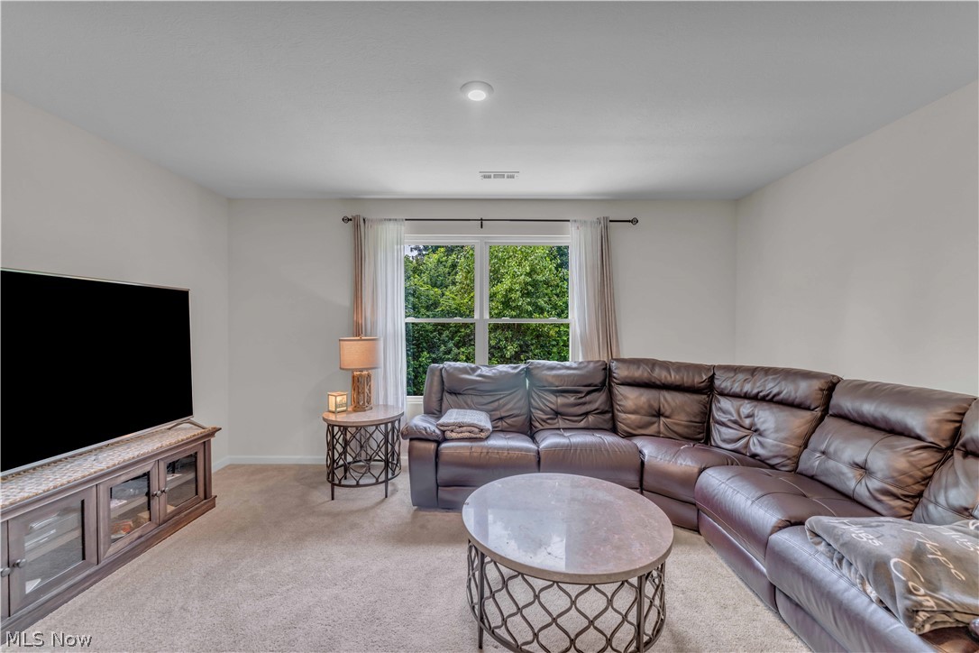 1074 Wayne Trail Vermilion OH 44089