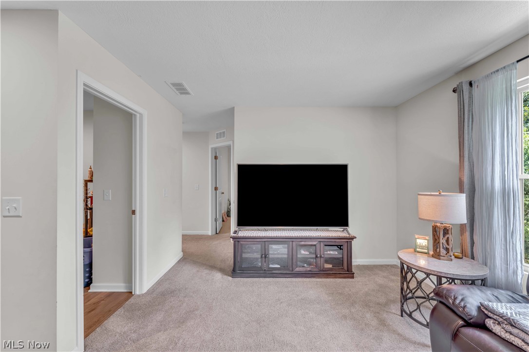 1074 Wayne Trail Vermilion OH 44089