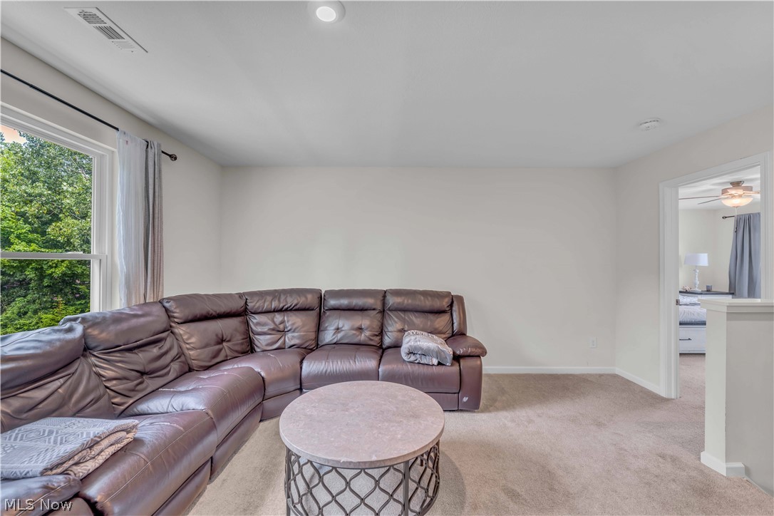1074 Wayne Trail Vermilion OH 44089
