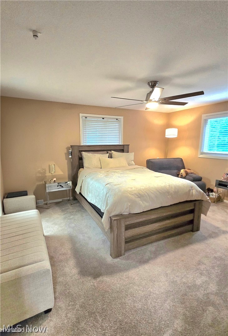 5411 Harleston Drive Lyndhurst OH 44124