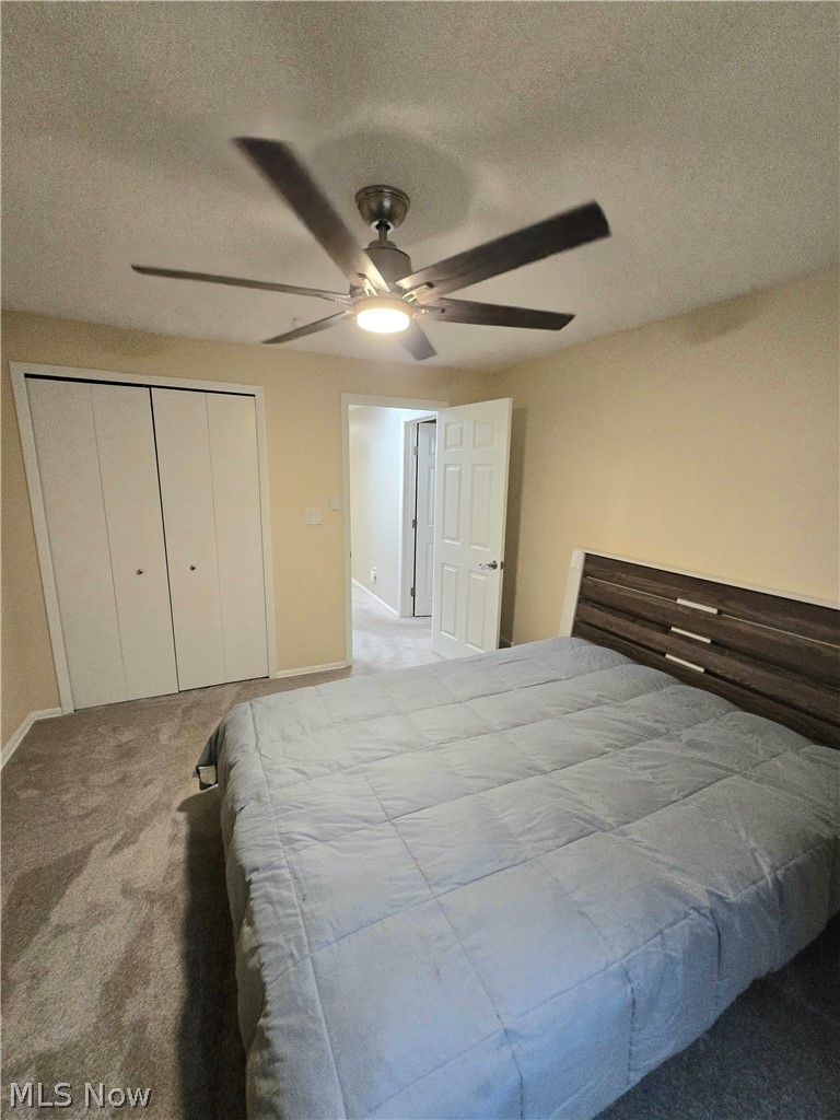 5411 Harleston Drive Lyndhurst OH 44124