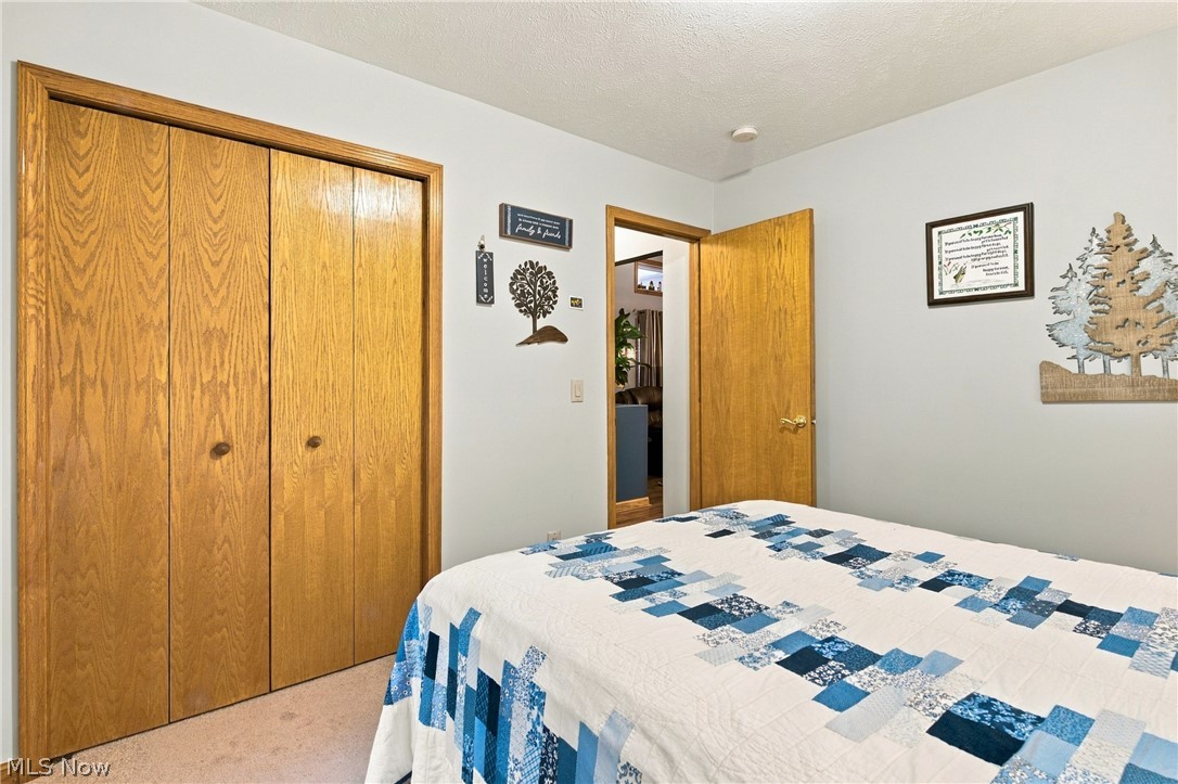 2445 Plum Creek Drive Roaming Shores OH 44084