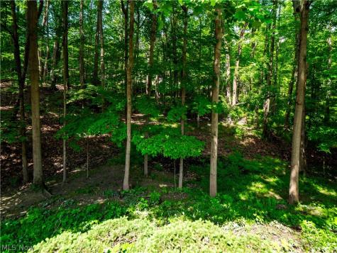 20060 Idlewood Trail Strongsville OH 44149