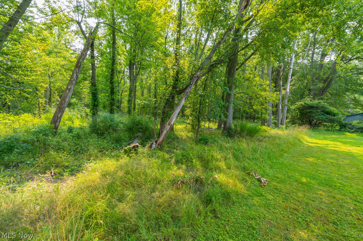 365 Avon Belden Road Avon Lake OH 44012